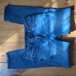 Lucky Brand Hayden Skinny Indigo Jeans